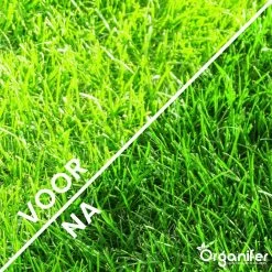 Gazonmest All-In-One (10Kg - Voor 200m2) Voor Een Diepgroen Sterk Gazon Zonder Mos En Onkruid - Complete Meststof Met Kalk En Grasversterker - Organifer -Gardena Winkel 1200x1200 1697