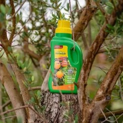 ECOstyle Citrus & Olijf Voeding - Stevige Vrucht - Langdurige Werking - Voor Alle Mediterrane Planten En Bomen 500 ML -Gardena Winkel 1200x1200 1711