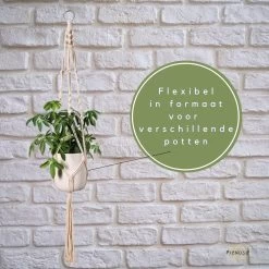 Plantenhanger - Plantenhanger Macrame - Set Van 2 - Wit - Knopen - Luxe Gevlochten Touw - Met Ophang Haken - Fienosa -Gardena Winkel 1200x1200 1725