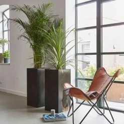 Capi Europe - Bloempot Rechthoek Smooth NL - 36x36x79 - Zwart - Voor Binnen En Buiten - KBL952 -Gardena Winkel 1200x1200 1731