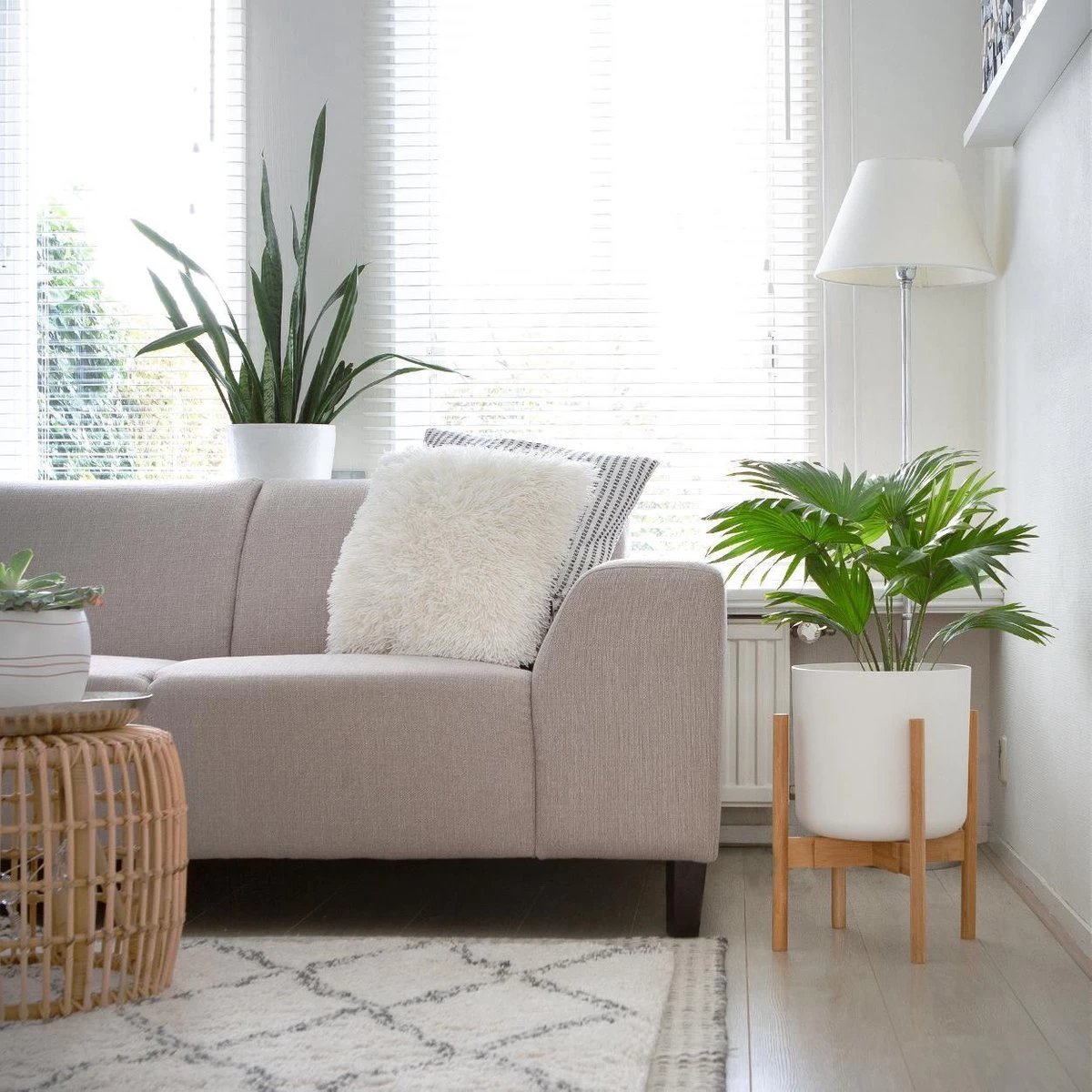 LifeGoods Planten Standaard - Uitschuifbare Bloempothouder - 20 Tot 30 Cm - Licht Bamboe 5 LifeGoods Planten Standaard - Uitschuifbare Bloempothouder - 20 Tot 30 Cm - Licht Bamboe - Afbeelding 5