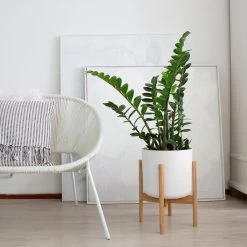 LifeGoods Planten Standaard - Uitschuifbare Bloempothouder - 20 Tot 30 Cm - Licht Bamboe 14 LifeGoods Planten Standaard - Uitschuifbare Bloempothouder - 20 Tot 30 Cm - Licht Bamboe -Gardena Winkel 1200x1200 1752