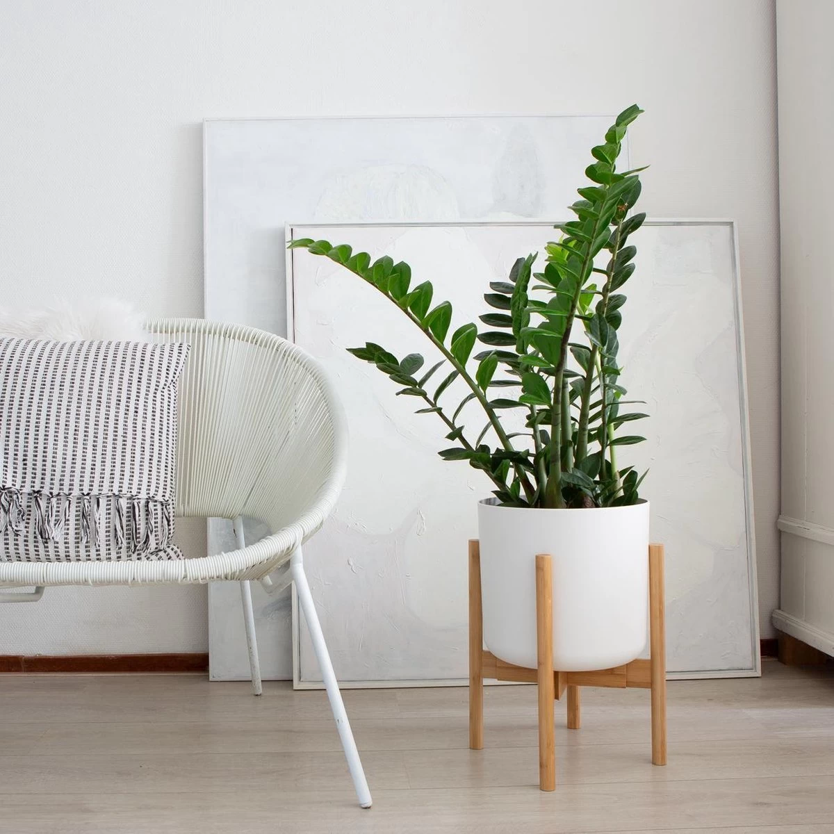 LifeGoods Planten Standaard - Uitschuifbare Bloempothouder - 20 Tot 30 Cm - Licht Bamboe 6 LifeGoods Planten Standaard - Uitschuifbare Bloempothouder - 20 Tot 30 Cm - Licht Bamboe - Afbeelding 6