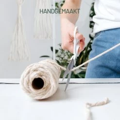 Gadgy Plantenhanger Macramé 3 Stuks - Luxe Gevlochten Touw Katoen - Plantenpot Ophangen - Hangpot -Gardena Winkel 1200x1200 1768