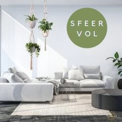 Plantenhanger Macrame Set Van 2 - Plantenhanger Met Ruimte Voor 3 Potten - Luxe Gevlochten Touw 100% Katoen - Duurzaam - Plantenbakken - Bloempotten - Macramé Stijl Hanger Voor Bloempotten - Hangpot - Fienosa -Gardena Winkel 1200x1200 1781