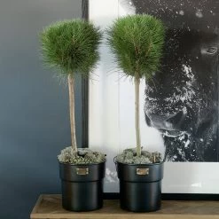 Riviera Maison Bloempot Voor Binnen Zwart - City Loft Flower Pot S -Gardena Winkel 1200x1200 1789