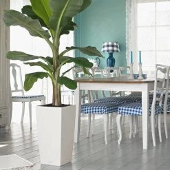 Prosperplast Kunststof Urbi Bloempot/plantenpot Met Binnenpot Wit 32 X 32 X 61 Cm - 21/49 Liter - Hoge Vierkante Bloempotten -Gardena Winkel 1200x1200 1821