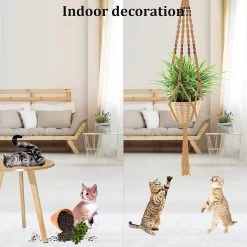 5 Stuks Luxe Jute Plantenhangers - Boho Handgeweven Katoen Hangpot Voor Binnen/Buiten - Hangende Bloempot Met Kralen - Macramé Touw/Koord Hangplant Houder - Bohemian Wandhanger Decoratie - Plant Hanger - Verticale Tuin Bloempothouder Planthanger -Gardena Winkel 1200x1200 1830