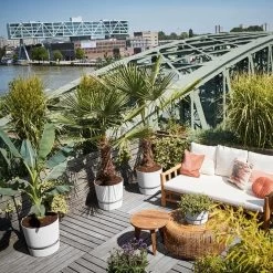 Elho Greenville Rond 30 - Grote Bloempot Voor Buiten - Gemaakt Van Gereycled Plastic - Ø 29.5 X H 27.8 Cm - Living Black -Gardena Winkel 1200x1200 1836