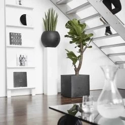 Capi Europe - Bloempot Vierkant Smooth NL - 50x50x50 - Zwart - Voor Binnen En Buiten - KBL904 -Gardena Winkel 1200x1200 1845