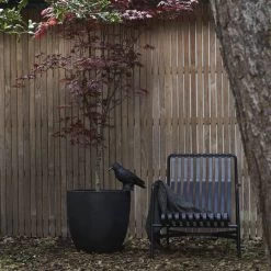 Capi Europe - Bloempot Bol Smooth NL - 54x52 - Zwart - Voor Binnen En Buiten - KBL935 -Gardena Winkel 1200x1200 1851