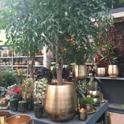 Gina Da Bloempot Karakter Goud - XL -Gardena Winkel 1200x1200 1863