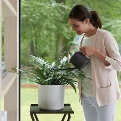 Elho B.for Soft Rond 30 - Bloempot Voor Binnen - Ø 29.5 X H 27.6 Cm - Wit -Gardena Winkel 1200x1200 1884