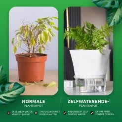 SKYARD® 3 Stuks Zelfwaterende Bloempot Maat M – Milieuvriendelijk Watergeefsysteem Kamerplanten – Zelfwatergevende Pot – Bloempot Met Waterreservoir – Selfwatering Pot – Wit -Gardena Winkel 1200x1200 1887