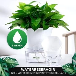 SKYARD® 3 Stuks Zelfwaterende Bloempot Maat M – Milieuvriendelijk Watergeefsysteem Kamerplanten – Zelfwatergevende Pot – Bloempot Met Waterreservoir – Selfwatering Pot – Wit -Gardena Winkel 1200x1200 1891