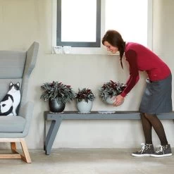 Elho Floorprotector Rond 25 - Accessoires Voor Binnen - Ø 25.0 X H 1.5 Cm - Transparant/Transparant -Gardena Winkel 1200x1200 1894