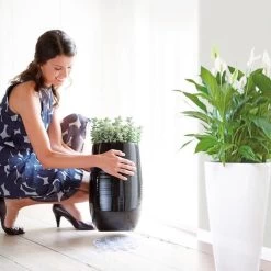 Elho Floorprotector Rond 25 - Accessoires Voor Binnen - Ø 25.0 X H 1.5 Cm - Transparant/Transparant -Gardena Winkel 1200x1200 1895