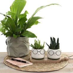 2x Bloempot Met Gezicht - Ø8 X H6,5 Cm - Bloempotten Voor Binnen Met Bril/Face/Hoofd -Gardena Winkel 1200x1200 1906