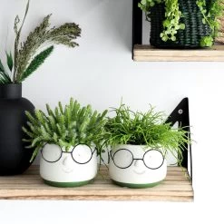 2x Bloempot Met Gezicht - Ø8 X H6,5 Cm - Bloempotten Voor Binnen Met Bril/Face/Hoofd -Gardena Winkel 1200x1200 1908