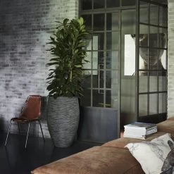 Capi Europe - Vaas Elegant Deluxe Rib NL - 40x60 - Antraciet - Voor Binnen En Buiten - KOFZ1131 -Gardena Winkel 1200x1200 1926