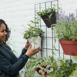 Elho Loft Urban Green Wall Rek 48 - Accessoires Voor Buiten - Ø 47.3 X H 59.0 Cm - Zwart/Living Black -Gardena Winkel 1200x1200 1928