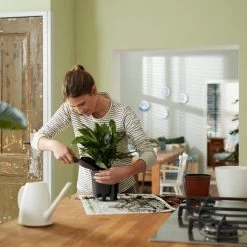 Elho Self-watering Insert 24 - Accessoires Voor Binnenaccessoires - Ø 23.7 X H 22.2 Cm - Zwart/Living Black -Gardena Winkel 1200x1200 1953