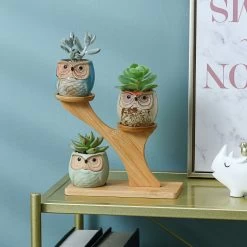 Luxe Bamboe Houten Boom Met 3 Keramiek Uil Bloempotten/Plantenpotten Op Standaard/Voet Voor Binnen En Buiten - Modern Design Bloempot/Plantenpot Op Poten/Pootjes-Plantenbak Mini Cactus Nep Plant Pot Houder - Kleine Bloembakken Plantenrek/Plantenkurk -Gardena Winkel 1200x1200 1989