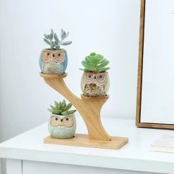 Luxe Bamboe Houten Boom Met 3 Keramiek Uil Bloempotten/Plantenpotten Op Standaard/Voet Voor Binnen En Buiten - Modern Design Bloempot/Plantenpot Op Poten/Pootjes-Plantenbak Mini Cactus Nep Plant Pot Houder - Kleine Bloembakken Plantenrek/Plantenkurk -Gardena Winkel 1200x1200 1990