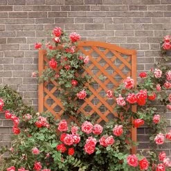 Relaxdays Plantenbak Met Klimrek - Bloembak Trellis - Rankhulp Hout - Voor Klimplanten -Gardena Winkel 1200x1200 2029