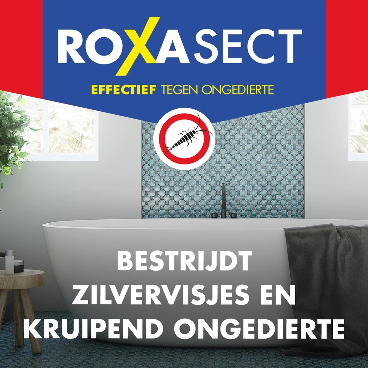 Roxasect Zilvervisjesval - Ongedierteval- 1 Stuks 8 Roxasect Zilvervisjesval - Ongedierteval- 1 Stuks - Afbeelding 8