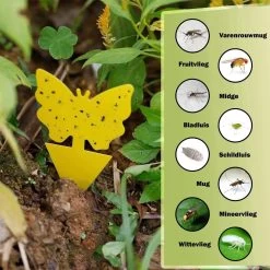 Professor Q - Rouwvliegjes Bestrijden - Fruitvliegjes Vanger - Fruitvlieg - Vliegenvanger - Insectenvanger Tegen Rouwvliegen - Vangplaten - 24 Stuks 12 Professor Q - Rouwvliegjes Bestrijden - Fruitvliegjes Vanger - Fruitvlieg - Vliegenvanger - Insectenvanger Tegen Rouwvliegen - Vangplaten - 24 Stuks -Gardena Winkel 1200x1200 2072