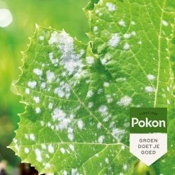 Pokon Bio Tegen Schimmels - Spray - 800ml - Spuitzwavel - Meeldauw Bestrijdingsmiddel -Gardena Winkel 1200x1200 2101
