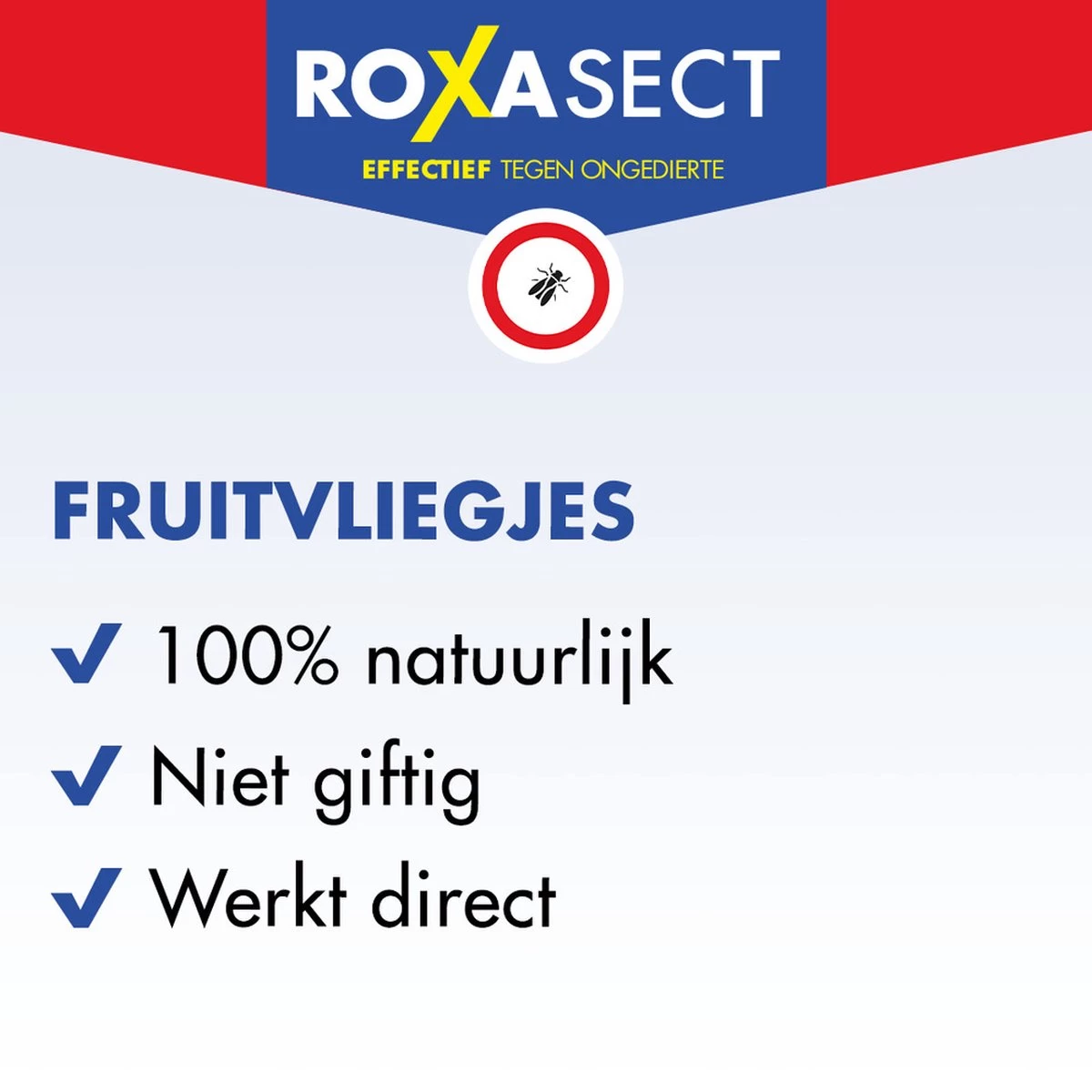Roxasect Fruitvliegjes Ongedierteval - Anti-fruitvliegjes Insectenval - 1 Stuks 5 Roxasect Fruitvliegjes Ongedierteval - Anti-fruitvliegjes Insectenval - 1 Stuks - Afbeelding 5