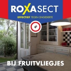 Roxasect Fruitvliegjes Ongedierteval - Anti-fruitvliegjes Insectenval - 1 Stuks 17 Roxasect Fruitvliegjes Ongedierteval - Anti-fruitvliegjes Insectenval - 1 Stuks -Gardena Winkel 1200x1200 2124
