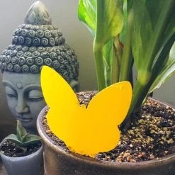 Biogroei Decoratieve Vangplaatjes - 10 Stuks - Tegen Rouwvliegjes, Trips, Witte Vlieg En Bladluis -Gardena Winkel 1200x1200 2147