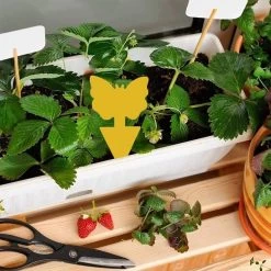 Professor Q - Rouwvliegjes Bestrijden - Fruitvliegjes Vanger - Fruitvlieg - Vliegenvanger - Insectenvanger Tegen Rouwvliegen - Vangplaten - 30 Stuks -Gardena Winkel 1200x1200 2196