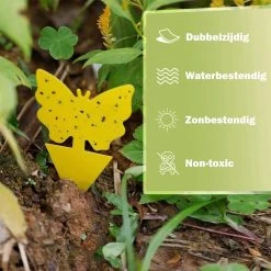 Professor Q - Rouwvliegjes Bestrijden - Fruitvliegjes Vanger - Varenrouwmug Bestrijden - Vliegenvanger - Plak Klavertjes Tegen Rouwvliegen - Vangplaten - 60 Stuks Vlinders 12 Professor Q - Rouwvliegjes Bestrijden - Fruitvliegjes Vanger - Varenrouwmug Bestrijden - Vliegenvanger - Plak Klavertjes Tegen Rouwvliegen - Vangplaten - 60 Stuks Vlinders -Gardena Winkel 1200x1200 2216