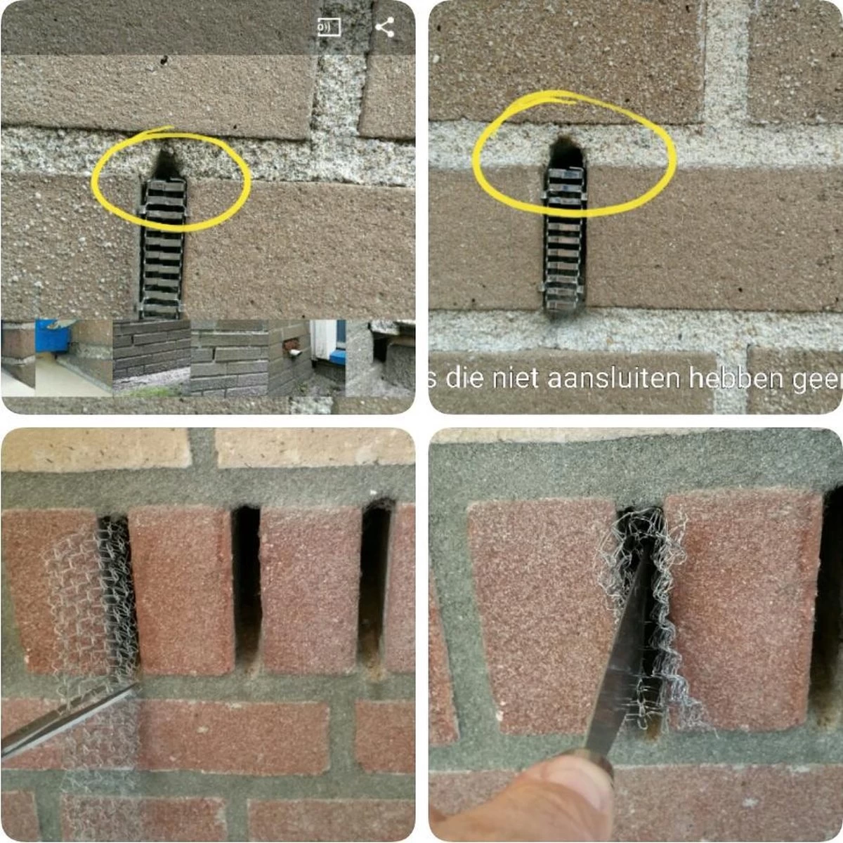 RVS Wering Gaas - Muizengaas - Afdichtingsnet - Netnox - Stootvoegroostergaas - Rattengaas - Insectengaas - Rvs Gaas - Per 1 Meter 6 RVS Wering Gaas - Muizengaas - Afdichtingsnet - Netnox - Stootvoegroostergaas - Rattengaas - Insectengaas - Rvs Gaas - Per 1 Meter - Afbeelding 6