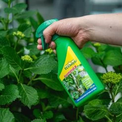 ECOstyle Promanal-R Spray Gebruiksklaar - Insecten Bestrijdingsmiddel Voor Spint, Wolluis En Dopluis - Binnens- En Buitenshuis- 100% Plantaardig - 500 ML -Gardena Winkel 1200x1200 2293