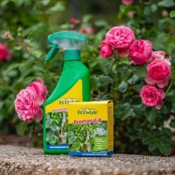 ECOstyle Promanal-R Spray Gebruiksklaar - Insecten Bestrijdingsmiddel Voor Spint, Wolluis En Dopluis - Binnens- En Buitenshuis- 100% Plantaardig - 500 ML -Gardena Winkel 1200x1200 2295