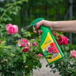 ECOstyle Spruzit-R Insecten Bestrijdingsmiddel Spray - Bladluis, Trips, Witte Vlieg - 100% Plantaardig - Binnen & Buiten - Gebruiksklaar - 750 ML 9 ECOstyle Spruzit-R Insecten Bestrijdingsmiddel Spray - Bladluis, Trips, Witte Vlieg - 100% Plantaardig - Binnen & Buiten - Gebruiksklaar - 750 ML -Gardena Winkel 1200x1200 2316