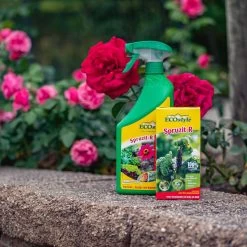 ECOstyle Spruzit-R Insecten Bestrijdingsmiddel Spray - Bladluis, Trips, Witte Vlieg - 100% Plantaardig - Binnen & Buiten - Gebruiksklaar - 750 ML 10 ECOstyle Spruzit-R Insecten Bestrijdingsmiddel Spray - Bladluis, Trips, Witte Vlieg - 100% Plantaardig - Binnen & Buiten - Gebruiksklaar - 750 ML -Gardena Winkel 1200x1200 2317