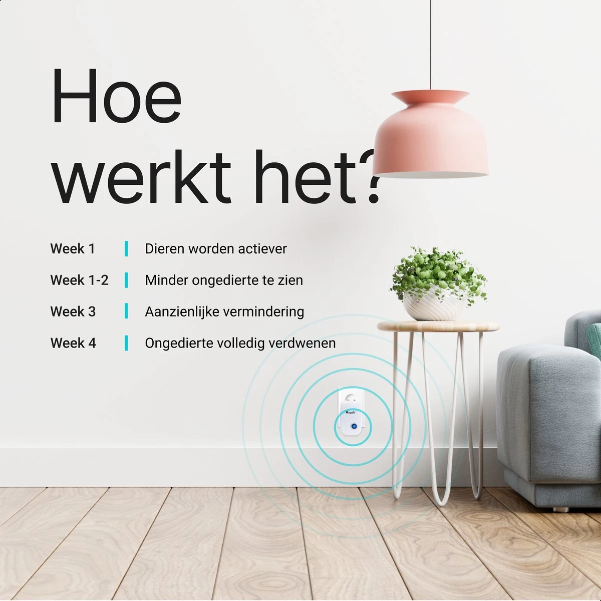 6-Pack Magnify® Ultrasonische Ongedierte Verjager - Muizen Bestrijden - Insecten Bestrijden - Ultrasone Verjager - Pest Repeller - Muizenverjager - 2022 Model 3 6-Pack Magnify® Ultrasonische Ongedierte Verjager - Muizen Bestrijden - Insecten Bestrijden - Ultrasone Verjager - Pest Repeller - Muizenverjager - 2022 Model - Afbeelding 3