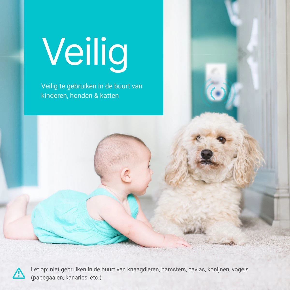 6-Pack Magnify® Ultrasonische Ongedierte Verjager - Muizen Bestrijden - Insecten Bestrijden - Ultrasone Verjager - Pest Repeller - Muizenverjager - 2022 Model 9 6-Pack Magnify® Ultrasonische Ongedierte Verjager - Muizen Bestrijden - Insecten Bestrijden - Ultrasone Verjager - Pest Repeller - Muizenverjager - 2022 Model - Afbeelding 9