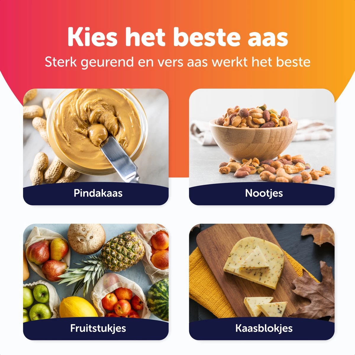 Wonact - Muizenval Voor Emmer - Emmer Deksel - Flip Deksel - Diervriendelijk - Rattenval - Voor Binnen En Buiten 9 Wonact - Muizenval Voor Emmer - Emmer Deksel - Flip Deksel - Diervriendelijk - Rattenval - Voor Binnen En Buiten - Afbeelding 9