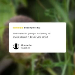 VerminBuster Diervriendelijke Muizenval - 2 Stuks - Levende Muizenval - Muizenverjager 11 VerminBuster Diervriendelijke Muizenval - 2 Stuks - Levende Muizenval - Muizenverjager -Gardena Winkel 1200x1200 2484