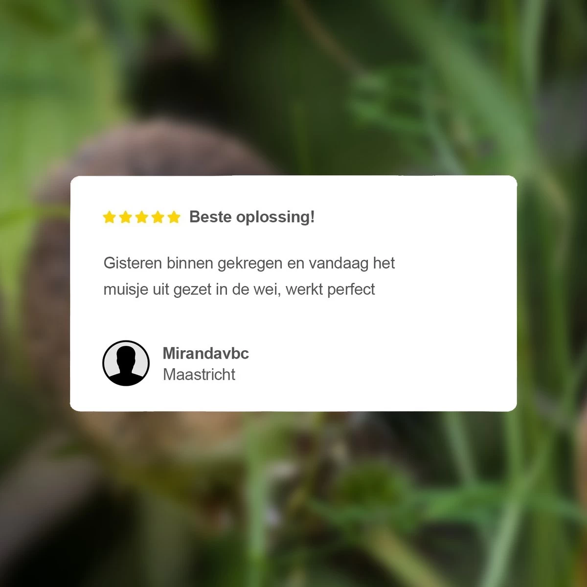 VerminBuster Diervriendelijke Muizenval - 2 Stuks - Levende Muizenval - Muizenverjager 6 VerminBuster Diervriendelijke Muizenval - 2 Stuks - Levende Muizenval - Muizenverjager - Afbeelding 6