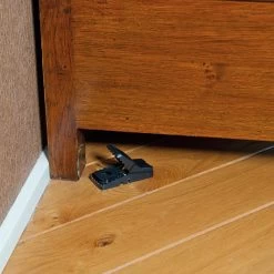 HGX Muizenval - 2 Stuks - Hygiënisch En Veilig - Effectief Bestrijdingsmiddel Tegen Muizen 9 HGX Muizenval - 2 Stuks - Hygiënisch En Veilig - Effectief Bestrijdingsmiddel Tegen Muizen -Gardena Winkel 1200x1200 2505