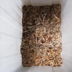 Gardebruk Hakselaar Elektrisch 2800W - 45mm Takdikte - Opvangbak 60 L -Gardena Winkel 1200x1200 251