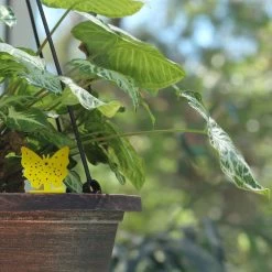 Rouwvliegjes Bestrijden 15 Stuks - Vliegenvanger - Insectenvanger - Lijmval - Vangplaten - Plak Klavertjes Tegen Rouwvliegen En Trips - Vangkaarten - Hebron® -Gardena Winkel 1200x1200 2537